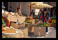 FBS_7285.JPG