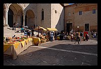 FBS_7291.JPG