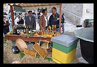 FBS_7337.JPG