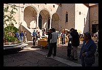 FBS_7369.JPG