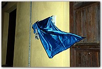 DSC_9748.JPG