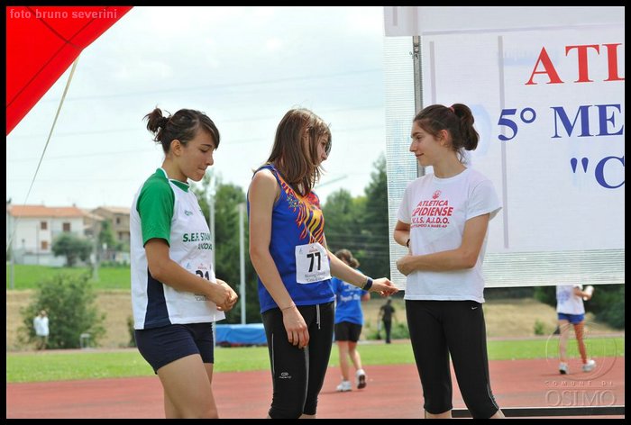 DSC_3541 (Large).JPG