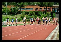 DSC_3480 (Large).JPG