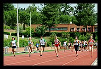 DSC_3481 (Large).JPG