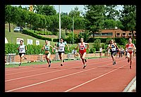 DSC_3482 (Large).JPG