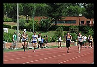 DSC_3484 (Large).JPG