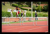 DSC_3631 (Large).jpg
