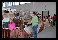 FBS_5339 (Medium).JPG