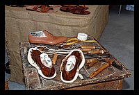 FBS_5343 (Medium).JPG