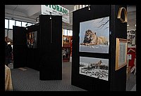 FBS_5369 (Medium).JPG