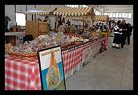 FBS_5381 (Medium).JPG