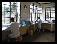 laboratorio analisi.JPG