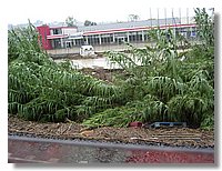 Dalla ferrovia (5).JPG