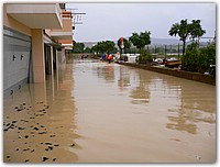 P1000216.JPG