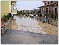 P1000229.JPG