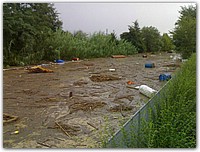 16092006078 (2).jpg