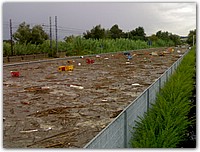 16092006076.jpg