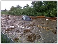 16092006079 (1).jpg