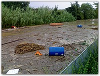 16092006080.jpg