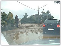 DSCF1518.JPG