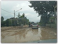 DSCF1519.JPG