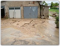 DSCF1522.JPG