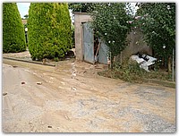 DSCF1526.JPG