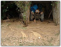 DSCF1527.JPG