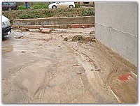 DSCF1529.JPG