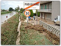DSCF1533.JPG