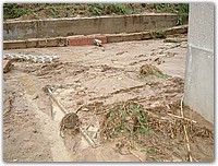 DSCF1536.JPG