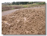 alluvione 16 settembre osimo stazione 015.jpg