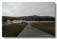 IMG_0440.jpg