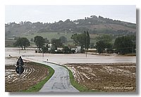 IMG_0443.jpg
