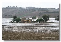 IMG_0444.jpg