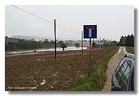 IMG_0445.jpg