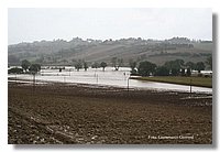 IMG_0448.jpg