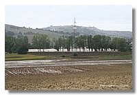 IMG_0449.jpg