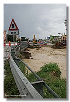 IMG_0455.jpg