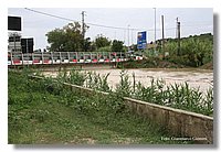 IMG_0459.jpg