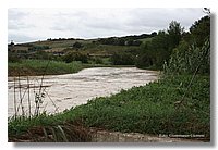 IMG_0460.jpg