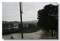 IMG_0463.jpg