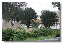 IMG_0465.jpg