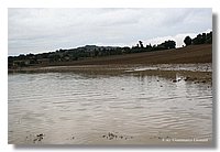 IMG_0476.jpg
