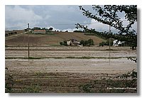 IMG_0478.jpg