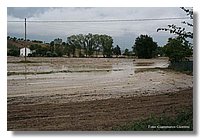 IMG_0479.jpg