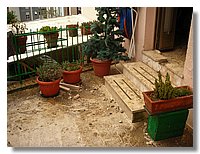 DSCN0304.JPG