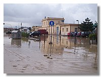 100_5061.JPG