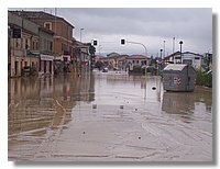 100_5063.JPG