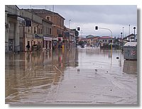 100_5064.JPG